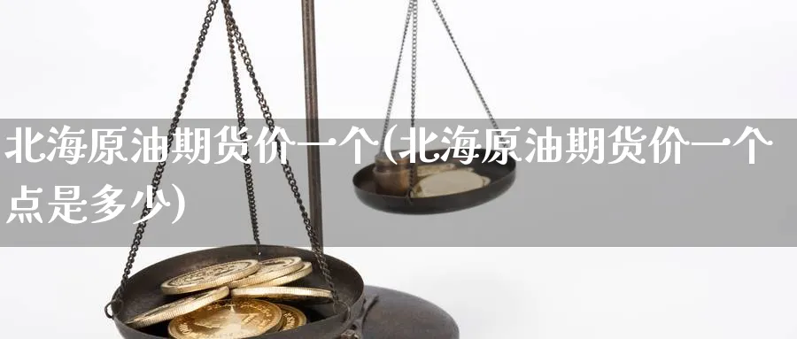 北海原油期货价一个(北海原油期货价一个点是多少)