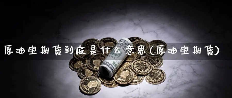 原油宝期货到底是什么意思(原油宝期货)