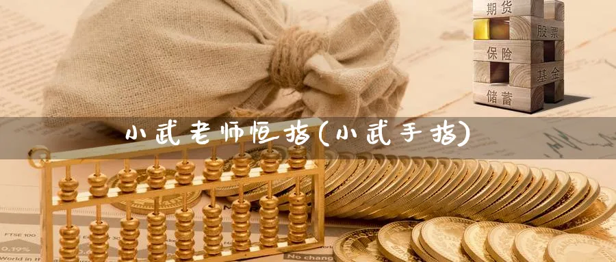 小武老师恒指(小武手指)