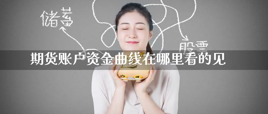 期货账户资金曲线在哪里看的见