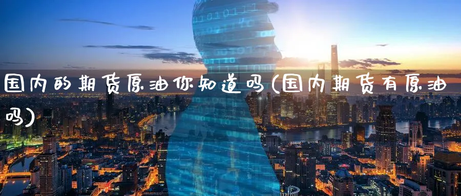 国内的期货原油你知道吗(国内期货有原油吗)