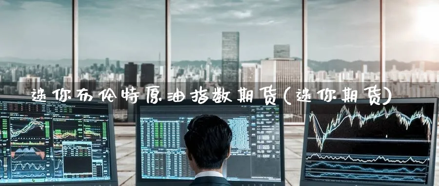 迷你布伦特原油指数期货(迷你期货)