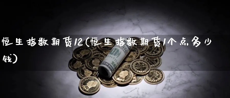 恒生指数期货12(恒生指数期货1个点多少钱)