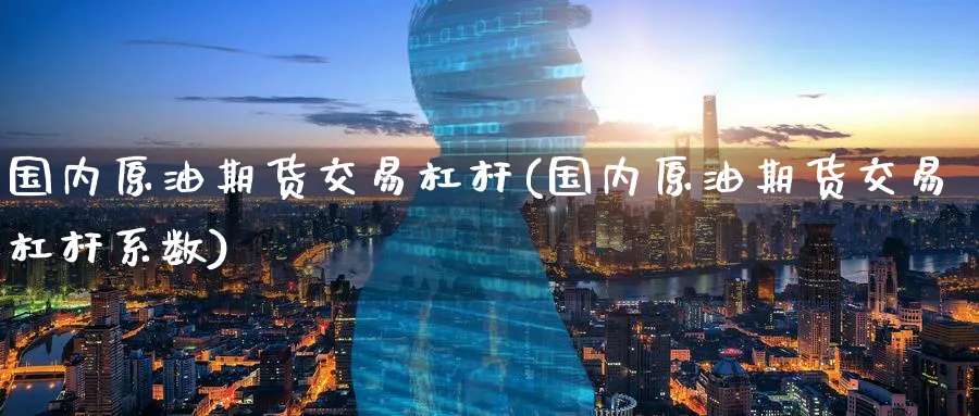 国内原油期货交易杠杆(国内原油期货交易杠杆系数)