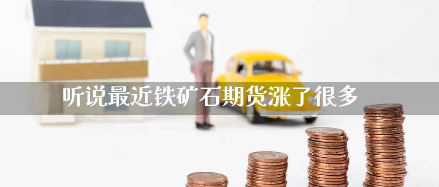 听说最近铁矿石期货涨了很多
