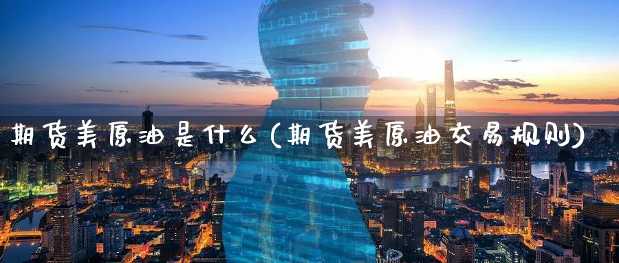 期货美原油是什么(期货美原油交易规则)