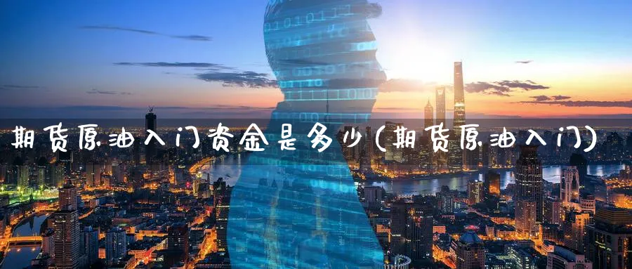 期货原油入门资金是多少(期货原油入门)