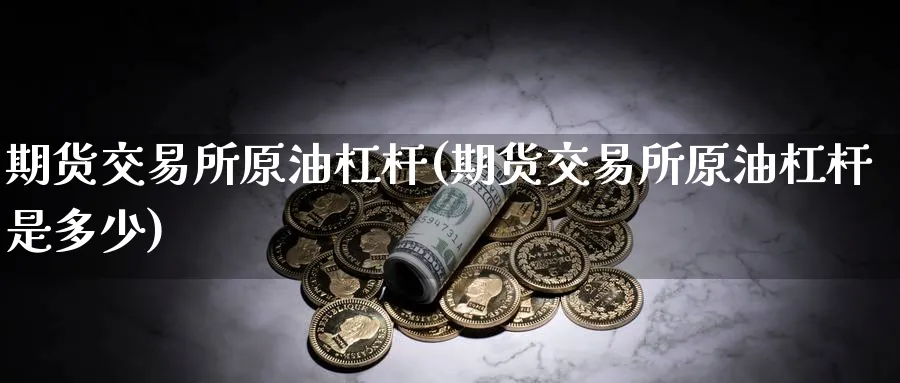 期货交易所原油杠杆(期货交易所原油杠杆是多少)