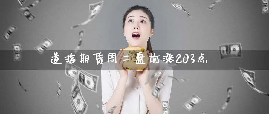 道指期货周二盘前涨203点