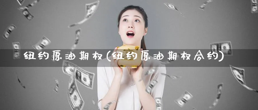 纽约原油期权(纽约原油期权合约)