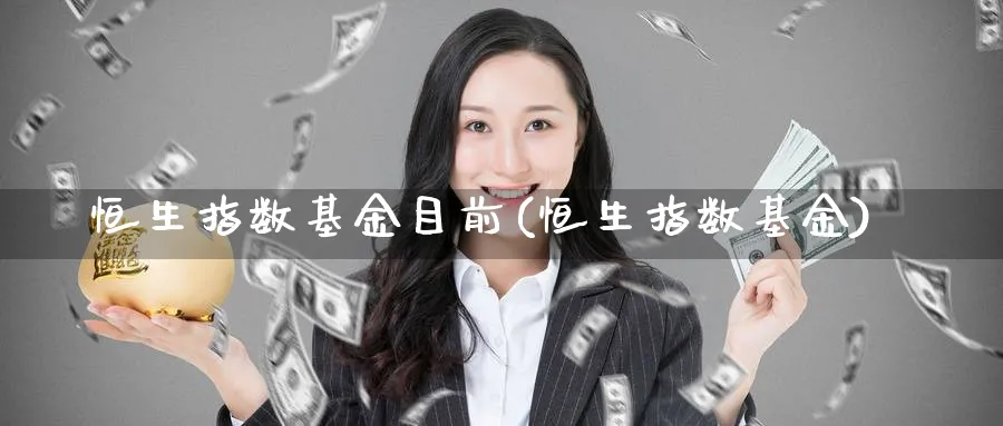 恒生指数基金目前(恒生指数基金)