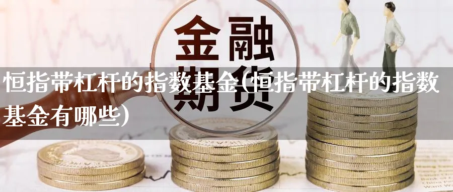 恒指带杠杆的指数基金(恒指带杠杆的指数基金有哪些)_https://www.lytzg.com_原油期货学院_第1张