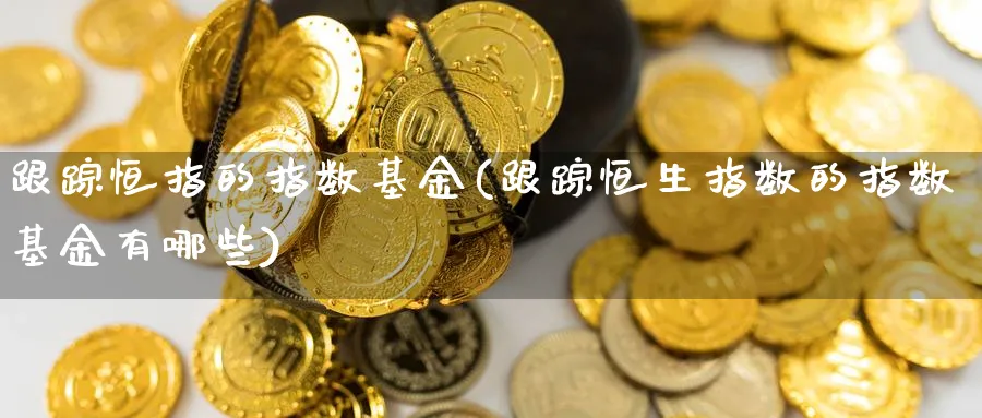 恒指的指数基金(恒生指数的指数基金有哪些)_https://www.lytzg.com_美原油期货_第1张