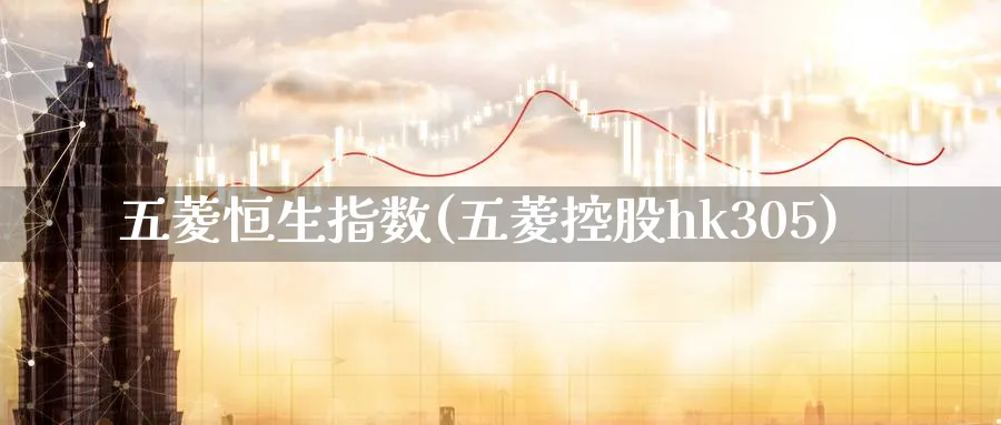 五菱恒生指数(五菱控股hk305)