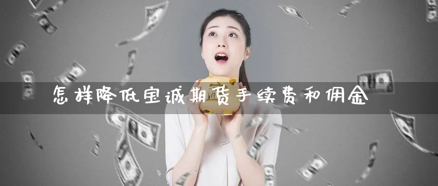 怎样降低宝诚期货手续费和佣金