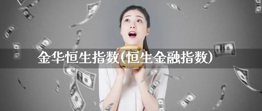 金华恒生指数(恒生金融指数)