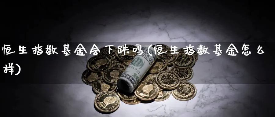 恒生指数基金会下跌吗(恒生指数基金怎么样)