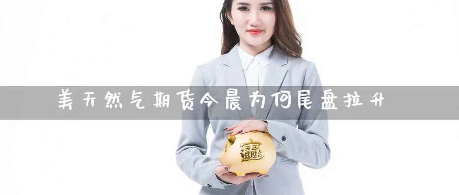 美天然气期货今晨为何尾盘拉升