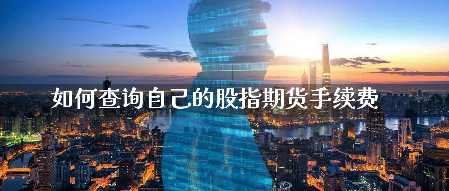 如何查询自己的股指期货手续费