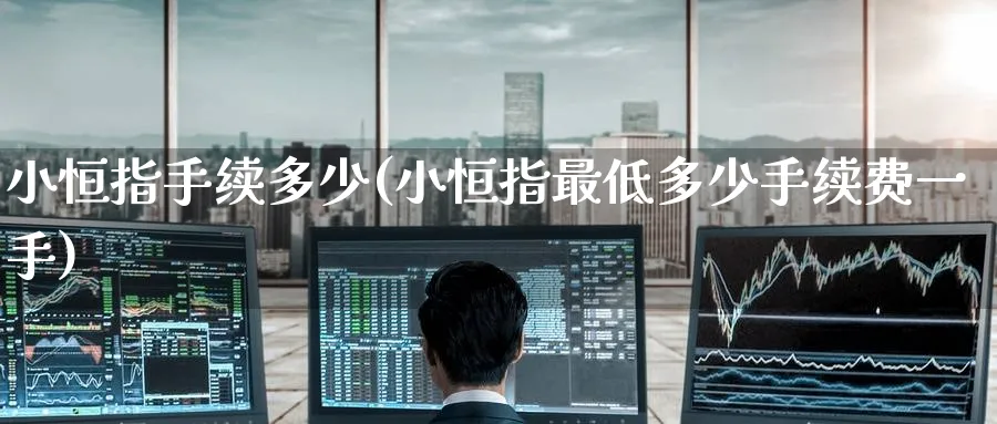 小恒指手续多少(小恒指最低多少手续费一手)